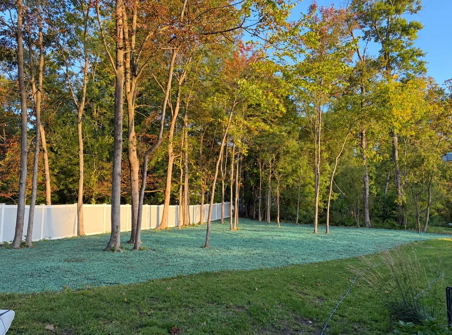 Gallery photos for Full Property Overhaul From Ground Clearing to Finished Landscape: Image #2