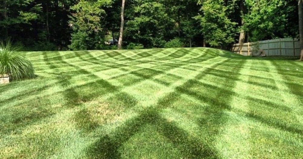 Expert Lawn Care Services in Saratoga County