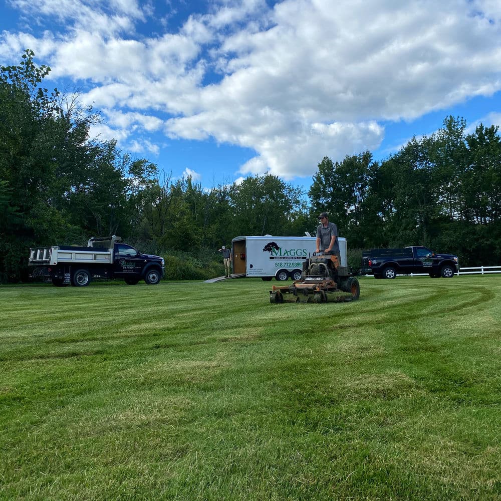 Expert Lawn Care Services in Saratoga County