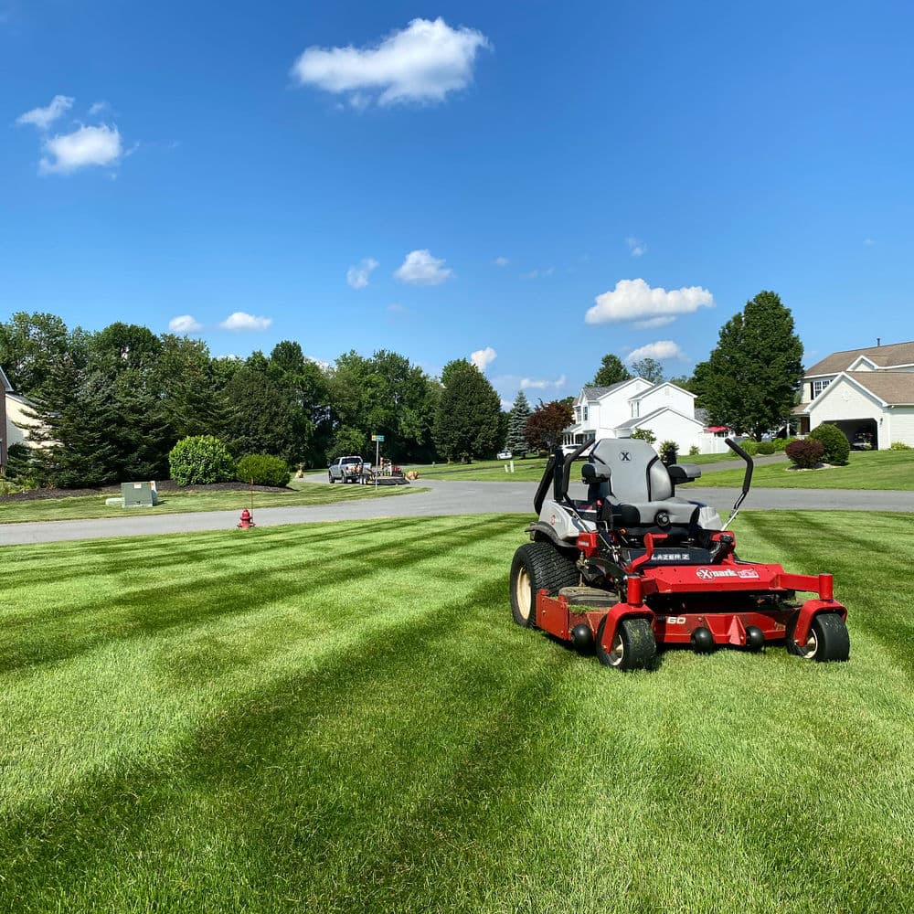 Gallery photos for Expert Lawn Care Services in Saratoga County: Image #10