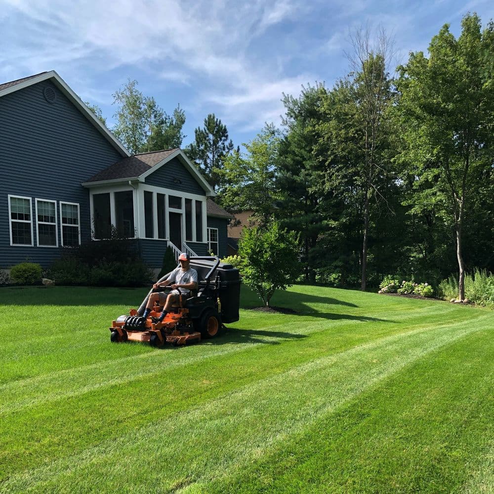 Expert Lawn Care Services in Saratoga County
